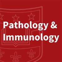 WashU Medicine Pathology & Immunology (@washu_pathology) 's Twitter Profile Photo WashU Medicine Pathology & Immunology (@washu_pathology) 's Twitter Profile Photo