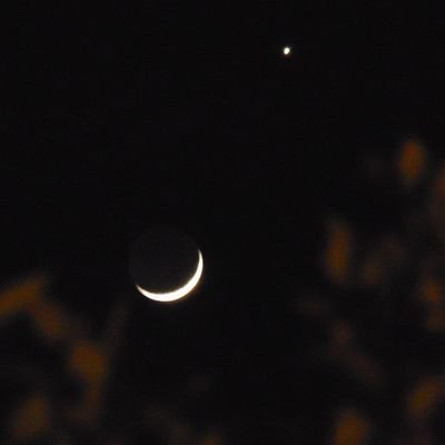 Gris_Iba's profile picture. México lindo y querido 🇲🇽