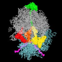 Korostelev Lab (@korostelevlab) 's Twitter Profile