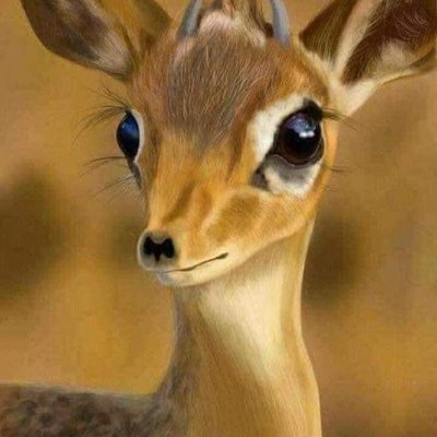 BjwHN4iwhD0xD8h's profile picture. الغزالة بشرى صديقة البيئة حساب بيئي بامتياز يقدم استشارات بيئية مجانية, يناضل من أجل البيئة و من أجل عالم أفضل للأجيال القادمة, يملك مدونة و قناة يوتيوب