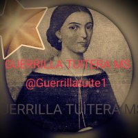 GuerrillatuiteraMS(@Guerrillatuite1) 's Twitter Profileg