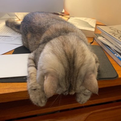 merry_CM's profile picture. 