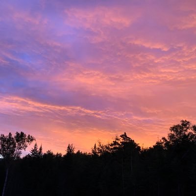 DEEEKNIGHT's profile picture. wishlist for gifts 🩷 https://t.co/EX62bXcRiL