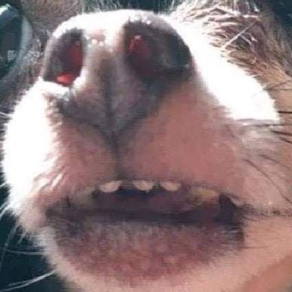 FatimaDagry's profile picture. Todos escogen el mismo camino; todos se van.