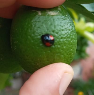 Erika92218796's profile picture. 