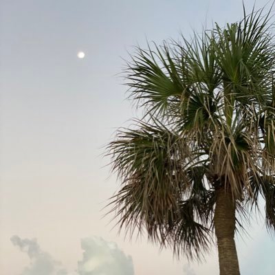 heuseler's profile picture. 