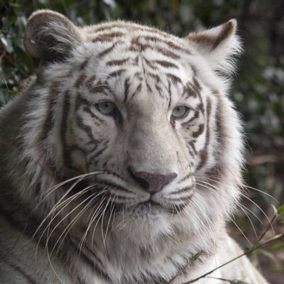 PersonScoot's profile picture. 🛵🛢🛥📻🔈📗🚮☣🛅↘️🎗🎉🎇🥫🥮🍭🦝😑😄🐮🚙🚜🚝👸👨‍🚒👨‍🎤🧛‍♀️💁‍♂️🚣‍♂️🐱🍁🌲🌷🐞🍹🍬🥤♟🎿⛸🏡♨️🎡🎪👨‍🚒🚝🐞😑😉🙂😈😈👿💩💩🦐🐸🐚🕸🍁💮🍄🧀🥣🥐🍿🥈🎉🎎🎁🥎🏙⛩