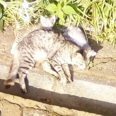 jagemkarabet's profile picture. Engineer