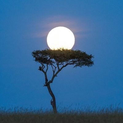 Geele48496622's profile picture. kind person