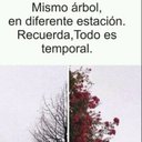 Daniel Asencio Fernández - @DanielAsencioF2 - Twitter