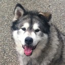 Jonathan McGregor - @mcgregor03 - Twitter