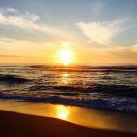 M@同居嫁 (@ym_9158) 's Twitter Profile