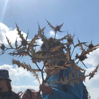 Yuval Sapir (@yuval_sapir) 's Twitter Profile
