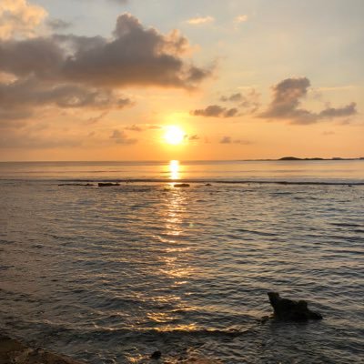 nepi_y79625's profile picture. 2020年8月〜dポイント投資開始。米国大型株、日経。つみたてnisa /固定費削減/いろいろ模索中。。