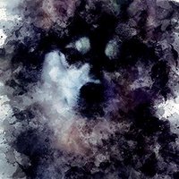 FrolicswithDogs (@frolicswith) 's Twitter Profile Photo FrolicswithDogs (@frolicswith) 's Twitter Profile Photo
