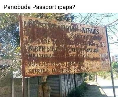 Tichasvikachete's profile picture. 