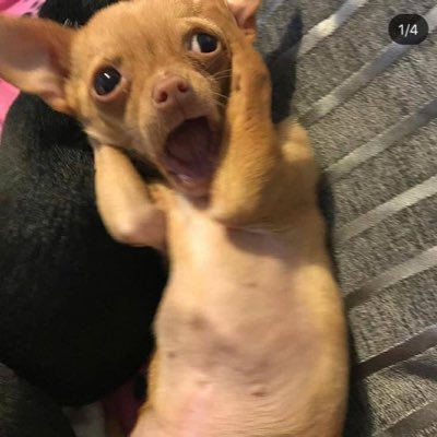 BeccaDeLimon's profile picture. Este era el original pero Twitter me bloqueo y tuve que emigrar a una cuenta menos conocida :)