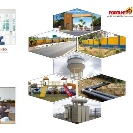 singh96402544's profile picture. 