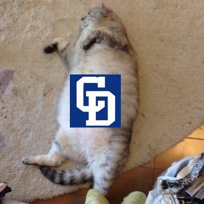 shichi_nana_7's profile picture. 中日／ドラフト。安定感の上位、浪漫に振った下位、２０２５年型臨機応変ドラフトの成果をしばらく見守りたいですね。そして迎えるは投手大豊作２０２６年ドラフト！