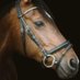 Racing Comment (@comment_racing) Twitter profile photo Racing Comment (@comment_racing) Twitter profile photo