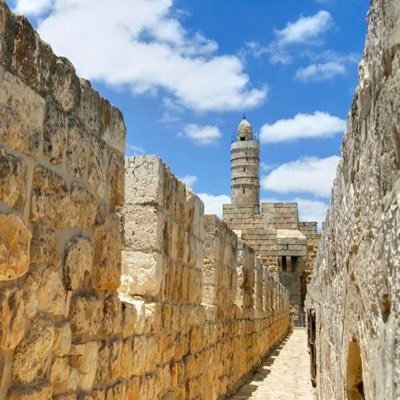 Cov03049687's profile picture. 👀