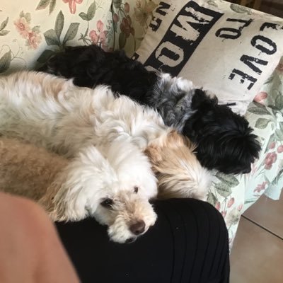 WhiteMinx's profile picture. 