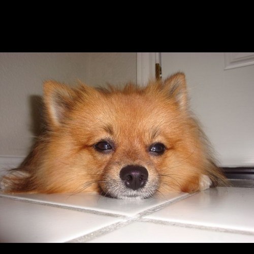 c_ibarrola's profile picture. 