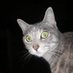 cata-krac 🏴 (@paradellm) Twitter profile photo cata-krac 🏴 (@paradellm) Twitter profile photo