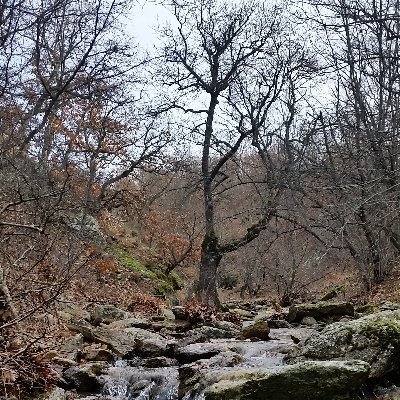 Vioptr1's profile picture. Misafir