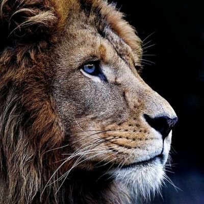 Babs_Folarin's profile picture. J Cole || Kendrick Lamar ||Gh musik🇬🇭🇬🇭🇬🇭
Every man has a code mine is #Precision👌..But remember the Secret to real Power to never betray your intentions