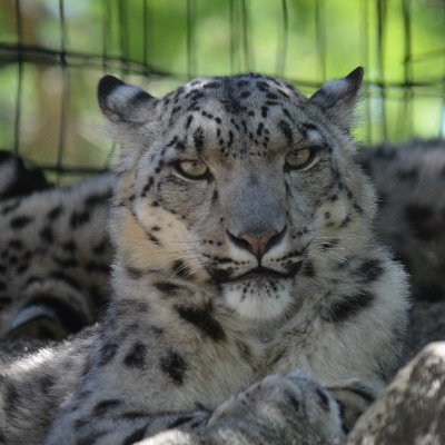 WeightTracking's profile picture. Documenting my weight loss and exercise. 
Goals: 
Gain confidence,
Feel better in clothing
 155lbs by December 31, 2020 (loose the C-19 weight)