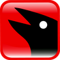 Raven Design