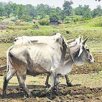 करम ही धरम है! 
जोइ कुड़मि जय कुड़मालि 🙏