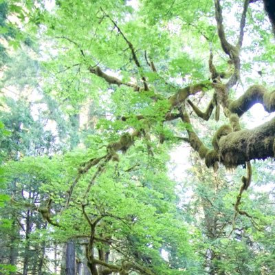 abekipnis's profile picture. physics & sustainability. previously @HoloLens @AaltoAtoms @FulbrightFIN @UniLUT MScTech’22 @ZygoCorp, @wesleyan_u #BlackLivesMatter 🏳️‍🌈