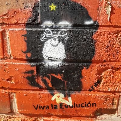 ibot_ge's profile picture. Das Sein verstimmt das Bewusstsein!