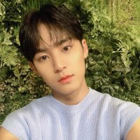 Mingyu's Shining Diamond 💎(@AdeleRossouw4) 's Twitter Profile Photo