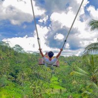 こうき | Vulcanus23| Data Science (@uenokoukis) Twitter profile photo