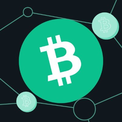 Official account of https://t.co/bVvLHtQkaN, a one-stop information website for Bitcoin Cash.