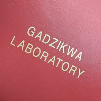 SupraCat (@gadzikwalab) 's Twitter Profile