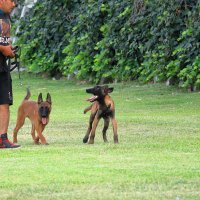 Jose Raul C (@joseraulc2) 's Twitter Profile