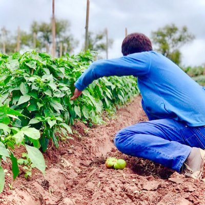 Qué lindo es ser Salteño. Productor agropecuario de hortalizas y frutas tropicales. Pasión por la cocina. En IG encontranos en @productosdoncirilo