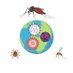 Arbovirus Seminars (@arboviruss) Twitter profile photo Arbovirus Seminars (@arboviruss) Twitter profile photo