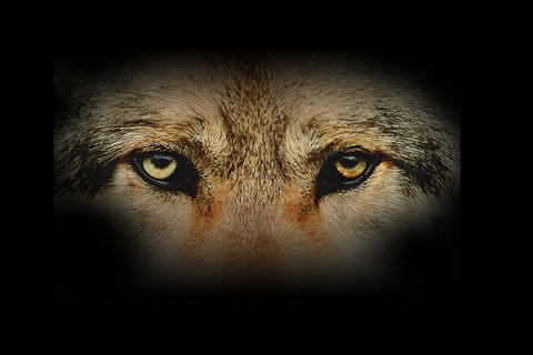 chethankumar64's profile picture. 