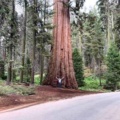 benbfafa's profile picture. 