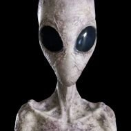 NFTfactory's profile picture. 