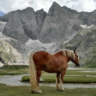 Sóc un enamorat i Estimo a la meva dona❤❤❤, les muntanyes⛰ 😍i la natura en general🐧 😍i Estimo el meu país: Catalunya❤!!!!! 1Octubre, ni oblit ni perdó✊