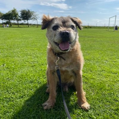 LesleyG_VPS's profile picture. 