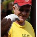 Dana Bratton - @danabratton - Twitter