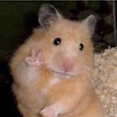 anne41028267's profile picture. 