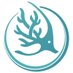 Reef Life Foundation (@ReefLife911) Twitter profile photo